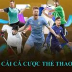 top 7 nhà cái thể thao uy tín